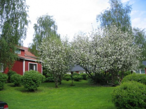Huoneisto omenapuiden katveessa Kankaanpää